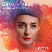 Thumbnail for the Camila Meza - Fall link, provided by host site