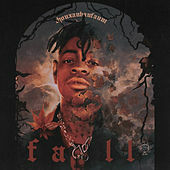 Thumbnail for the Thouxanbanfauni - FALL link, provided by host site
