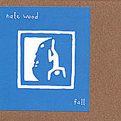 Thumbnail for the Nate Wood - Fall link, provided by host site