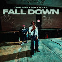 Thumbnail for the OMB Peezy - Fall Down link, provided by host site