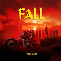 Thumbnail for the Mbosso - Fall link, provided by host site
