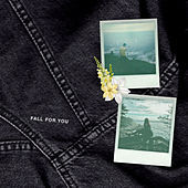 Thumbnail for the Steve James - Fall For You link, provided by host site