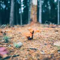 Thumbnail for the Asian Zen Meditation - Fall Soothing Sleep Aid Pieces link, provided by host site