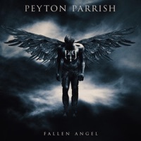 Thumbnail for the Peyton Parrish - Fallen Angel link, provided by host site