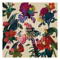 Thumbnail for the Washed Out - Falling Back link, provided by host site