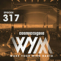 Thumbnail for the Cosmic Gate - Falling Back (WYM317) link, provided by host site