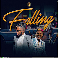 Thumbnail for the D12 - Falling link, provided by host site