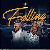 Thumbnail for the D12 - Falling link, provided by host site