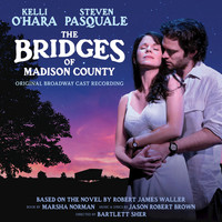 Thumbnail for the Steven Pasquale - Falling Into You link, provided by host site