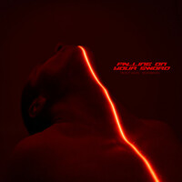 Thumbnail for the Mickey Valen - Falling On Your Sword link, provided by host site