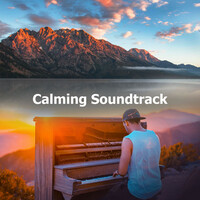 Thumbnail for the Musical Cast Recording - Falling Slowly link, provided by host site