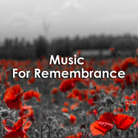 Thumbnail for the Ralph Vaughan Williams - Fantasia on a Theme by Thomas Tallis link, provided by host site
