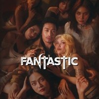 Thumbnail for the Prince - FANTASTIC link, provided by host site