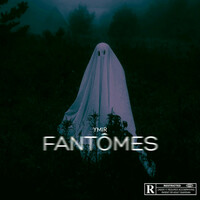 Thumbnail for the YMIR - Fantômes link, provided by host site