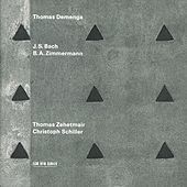 Image of Thomas Demenga linking to their artist page due to link from them being at the top of the main table on this page