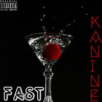 Thumbnail for the Kanine - Fast link, provided by host site