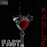 Thumbnail for the Kanine - Fast link, provided by host site