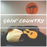 Thumbnail for the Alex Melton - Fat Lip (Country Version) [Country Version] link, provided by host site