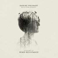 Thumbnail for the Karine Polwart - Faultlines link, provided by host site