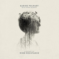 Thumbnail for the Karine Polwart - Faultlines link, provided by host site