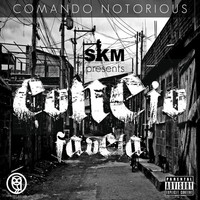 Thumbnail for the Conejo - Favela link, provided by host site