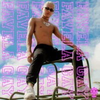 Thumbnail for the Madame - Favela Gay link, provided by host site
