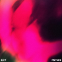 Thumbnail for the The Gift - Feather link, provided by host site