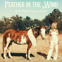 Thumbnail for the Britnee Kellogg - Feather in the Wind link, provided by host site