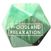 Thumbnail for the Outside Broadcast Recordings - Feathers link, provided by host site