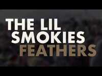 Thumbnail for the The Lil Smokies - Feathers link, provided by host site