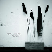 Thumbnail for the Poppy Ackroyd - Feathers link, provided by host site