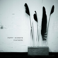 Thumbnail for the Poppy Ackroyd - Feathers link, provided by host site