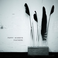 Thumbnail for the Poppy Ackroyd - Feathers link, provided by host site