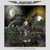 Thumbnail for the Avatar - Feathers & Flesh link, provided by host site