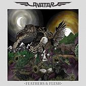 Thumbnail for the Avatar - Feathers & Flesh link, provided by host site