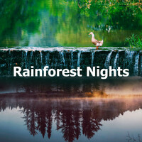 Thumbnail for the Sounds Of Nature - Feathers in the Grove link, provided by host site