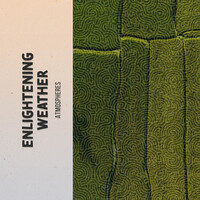 Thumbnail for the Echoes Of Nature - Feathers in the Meadow link, provided by host site