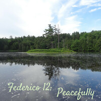 Thumbnail for the Federico - Federico 12: Peacefully link, provided by host site