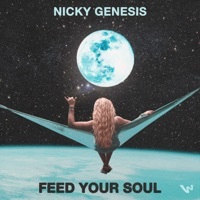 Thumbnail for the Nicky Genesis - Feed Your Soul link, provided by host site