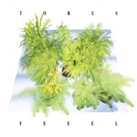 Thumbnail for the Torus - Feeel link, provided by host site