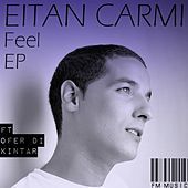 Thumbnail for the Eitan Carmi - Feel link, provided by host site