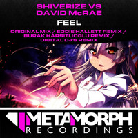 Thumbnail for the Shiverize - Feel link, provided by host site