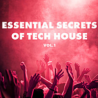 Thumbnail for the Franksen - Feel Baby - Bucher Remix link, provided by host site