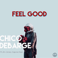 Thumbnail for the Chico DeBarge - Feel Good link, provided by host site