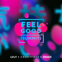Thumbnail for the Lvly - Feel Good (Summit) link, provided by host site