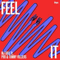 Thumbnail for the MJ Cole - Feel It link, provided by host site