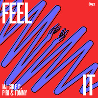 Thumbnail for the MJ Cole - Feel It link, provided by host site