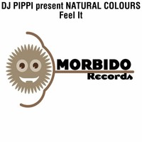 Thumbnail for the DJ Pippi - Feel It link, provided by host site