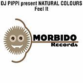 Thumbnail for the DJ Pippi - Feel It link, provided by host site
