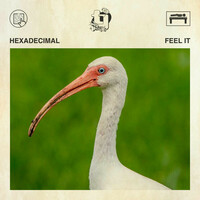 Thumbnail for the Hexadecimal - Feel It link, provided by host site